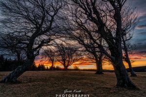 Mehr über den Artikel erfahren Morgenröte Schwarzwald…