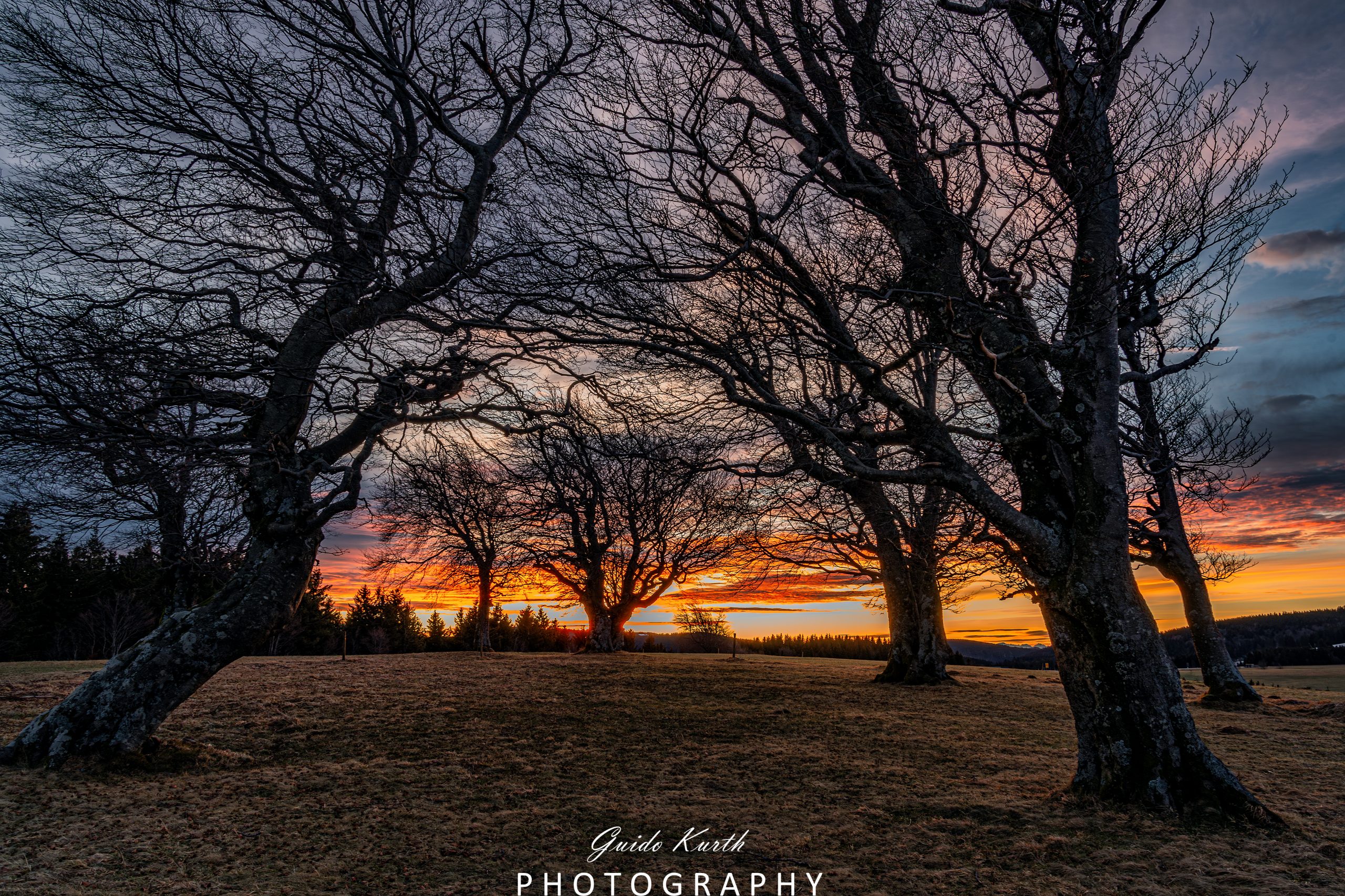 Mehr über den Artikel erfahren Morgenröte Schwarzwald…