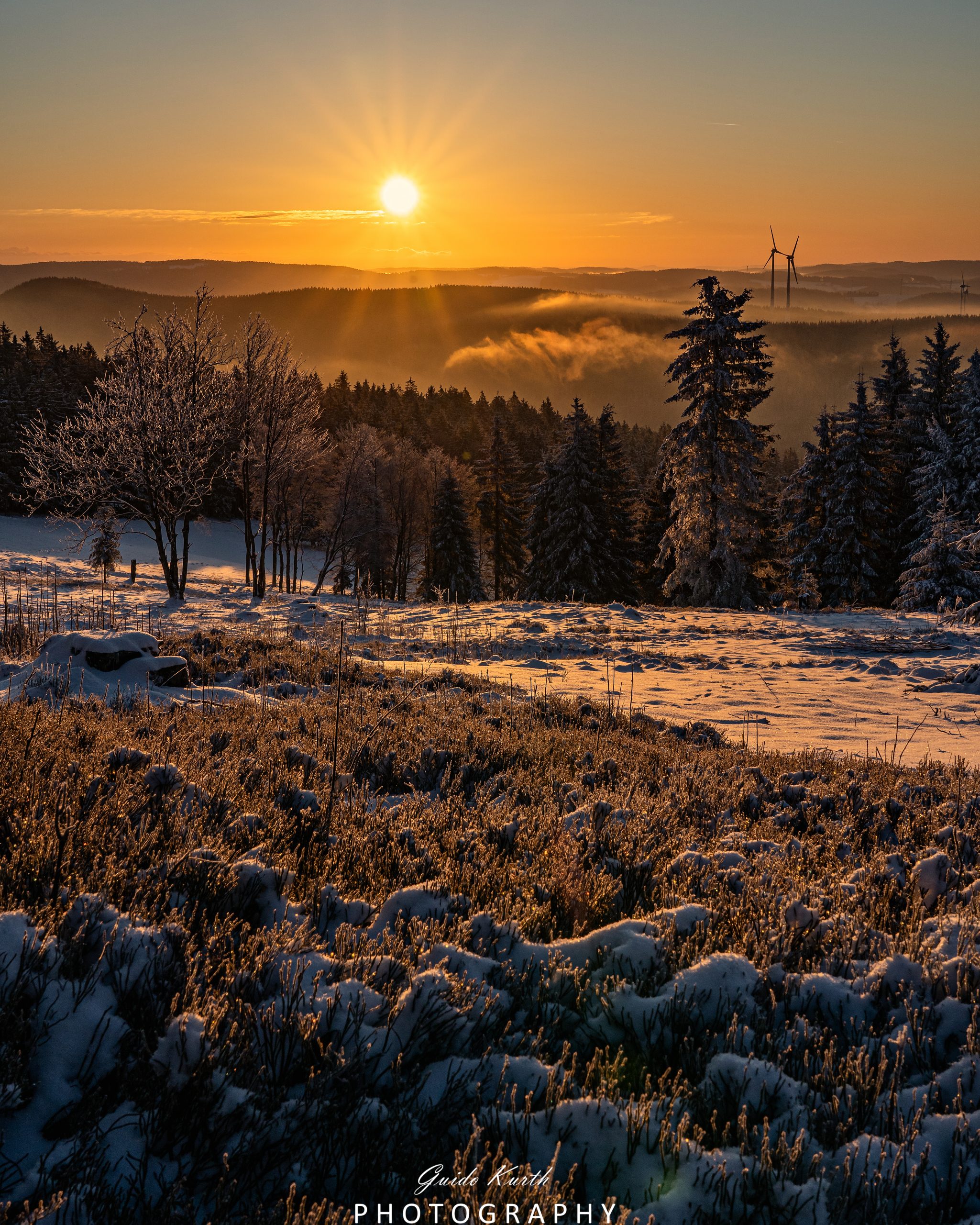 Du betrachtest gerade Goldenes Licht…