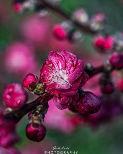 Mehr über den Artikel erfahren Frühlingserwachen