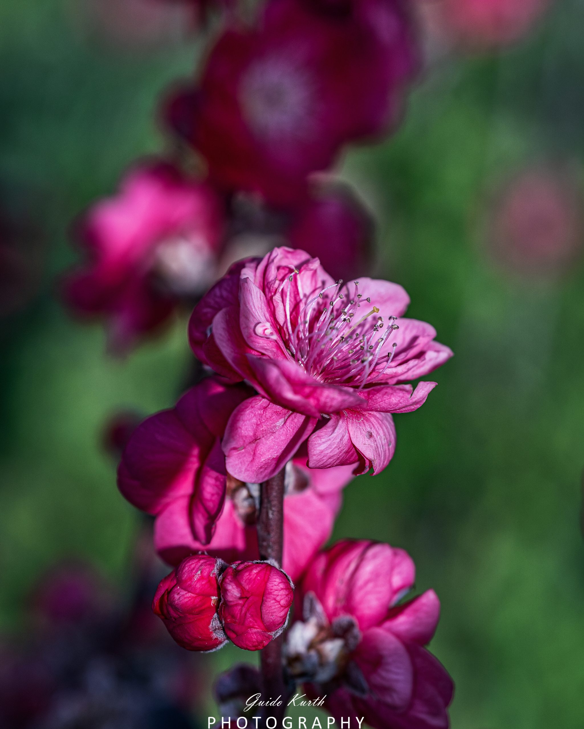 Mehr über den Artikel erfahren Frühlingserwachen