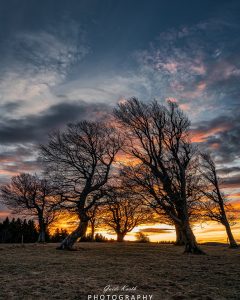 Mehr über den Artikel erfahren Morgenröte Schwarzwald…