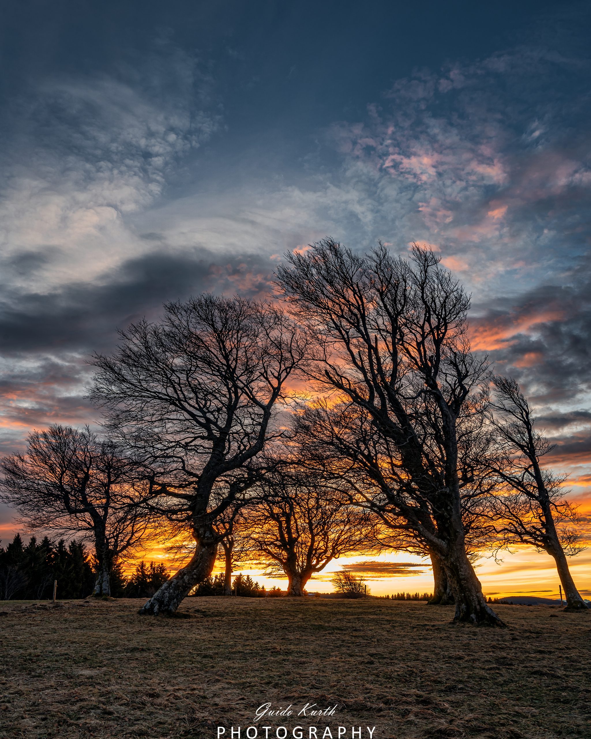 Du betrachtest gerade Morgenröte Schwarzwald…