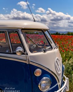 Mehr über den Artikel erfahren Bulli…