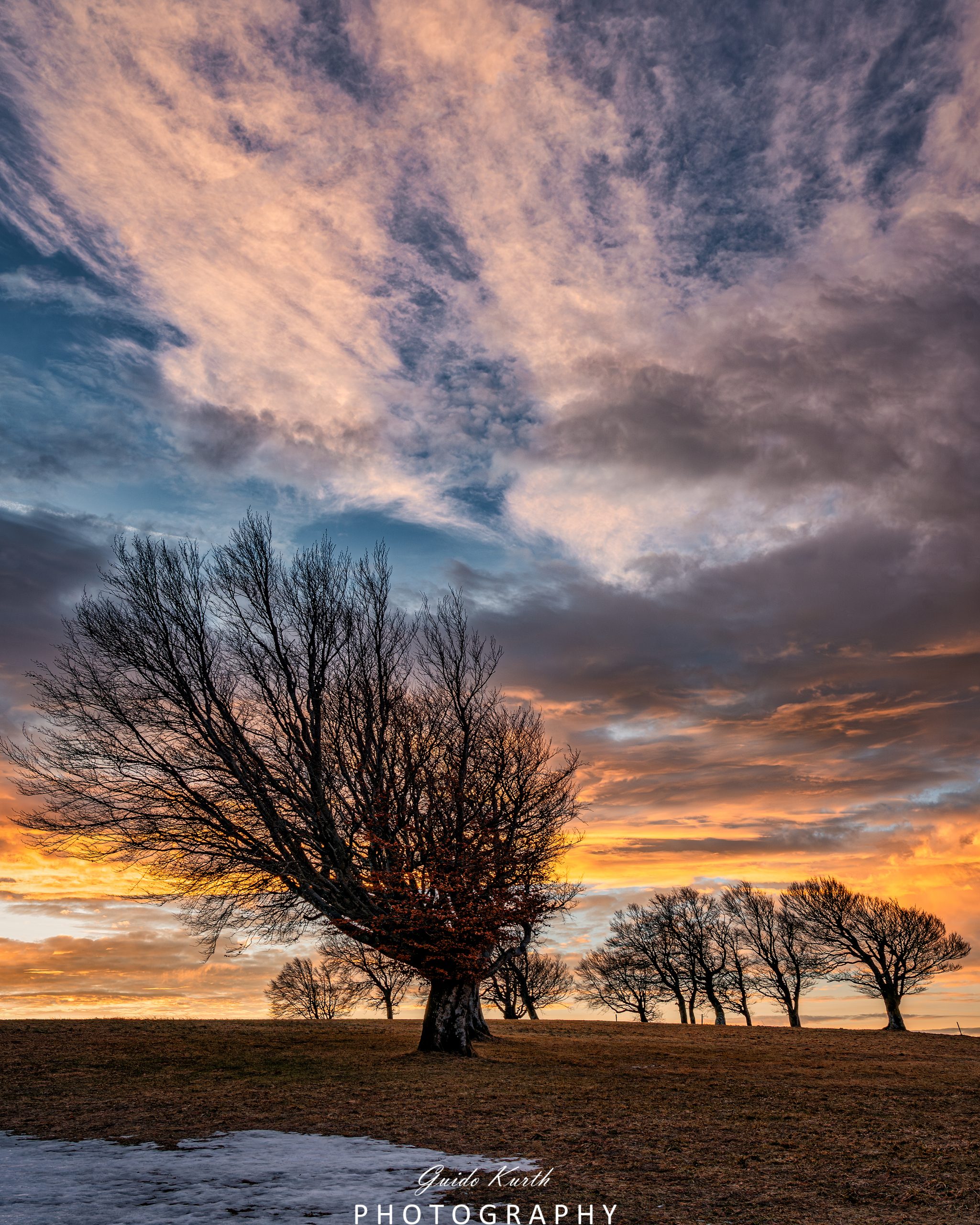 Du betrachtest gerade Morgenröte Schwarzwald…
