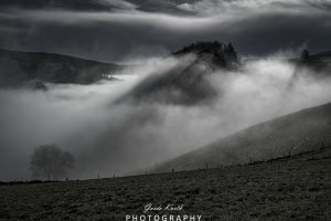 Mehr über den Artikel erfahren Nebeliger Start in Schwarzweiß…