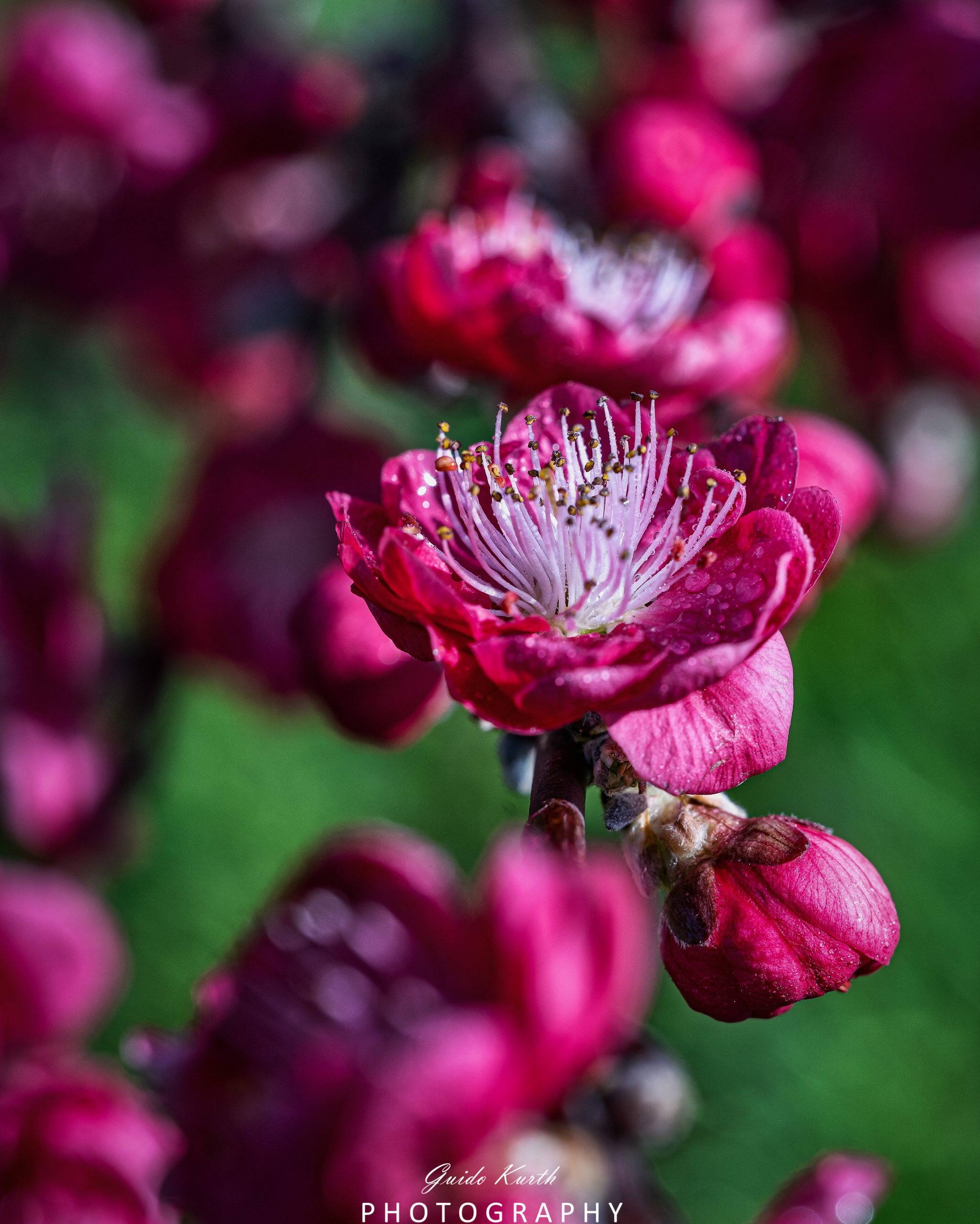 Mehr über den Artikel erfahren Frühlingserwachen