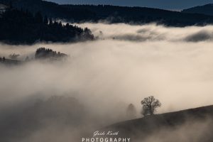 Mehr über den Artikel erfahren Faszination Nebel…