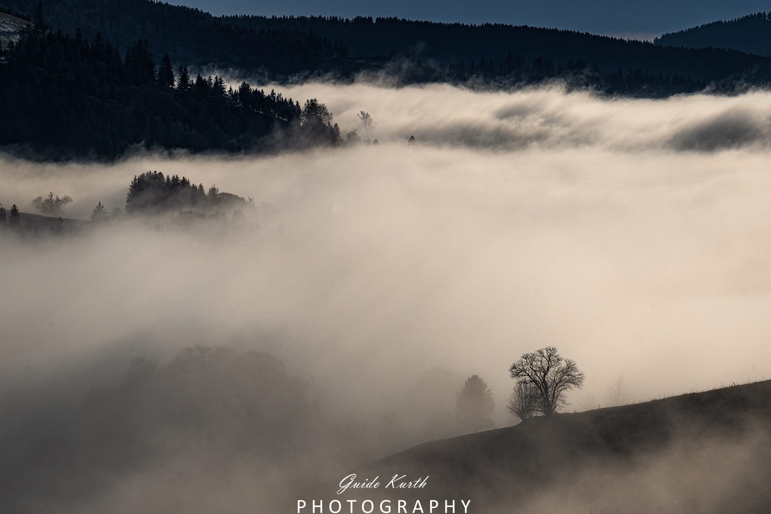 Du betrachtest gerade Faszination Nebel…