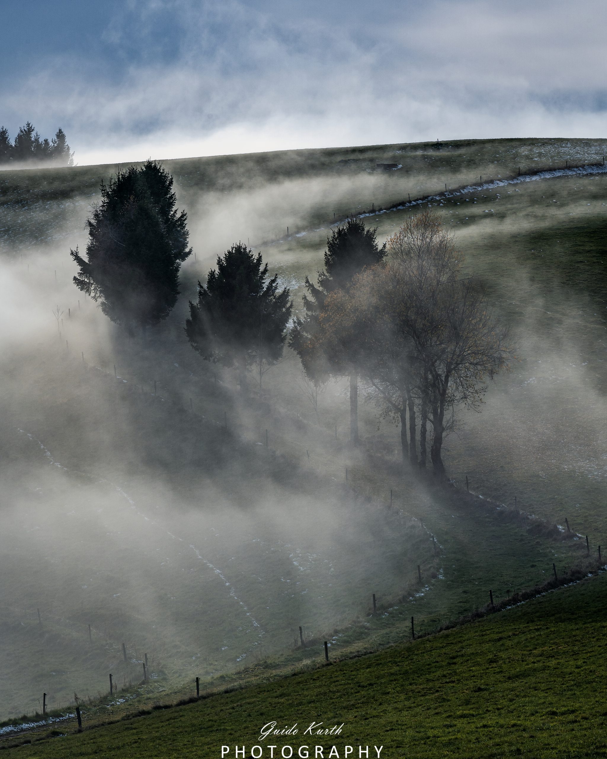 Du betrachtest gerade Baumgestalten im Nebel…