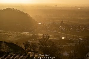 Mehr über den Artikel erfahren Winterliche Abendstimmung Kaiserstuhl
