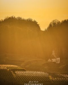 Mehr über den Artikel erfahren Winterliche Abendstimmung Kaiserstuhl