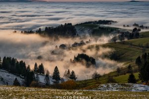 Mehr über den Artikel erfahren Abendliche Nebelstimmung…