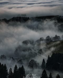 Mehr über den Artikel erfahren Schemenhaft…