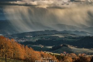 Mehr über den Artikel erfahren Regenfront überm Schwarzwald