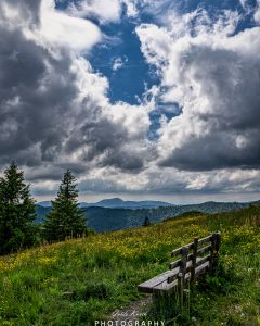 Mehr über den Artikel erfahren Bank an der Sonne…