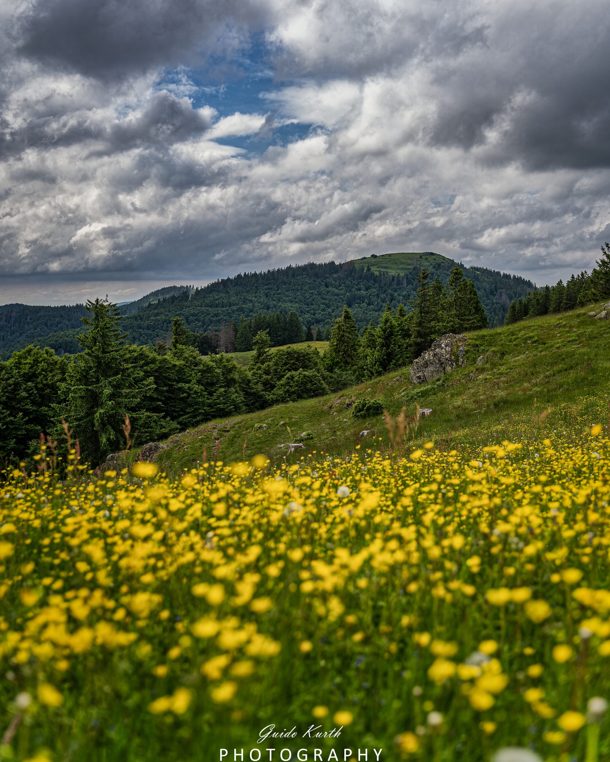 Du betrachtest gerade Blick zum Herzogenhorn