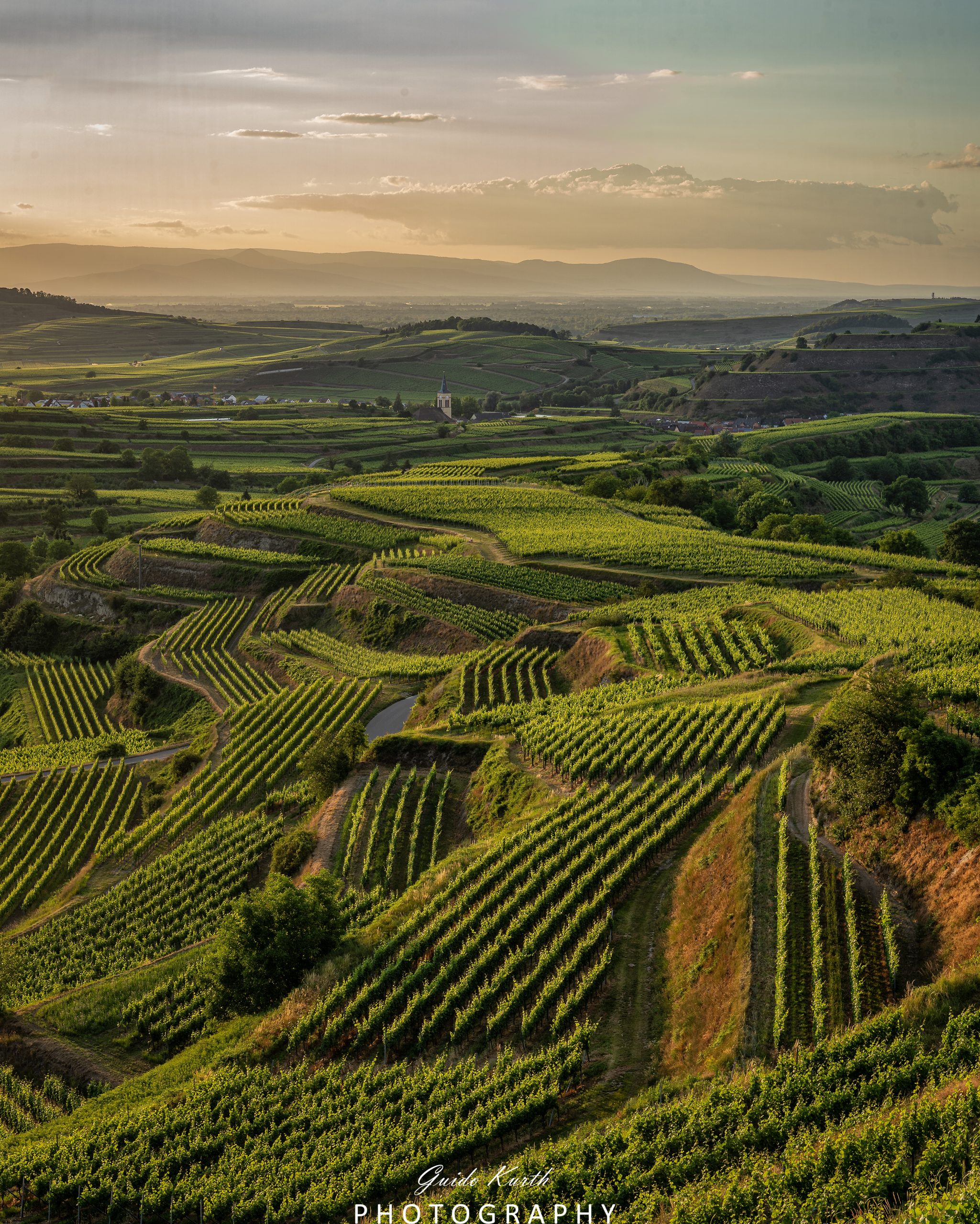 Mehr über den Artikel erfahren Bickensohl