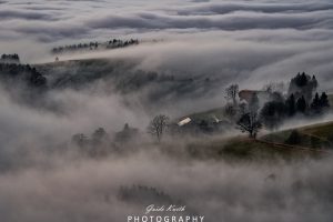 Mehr über den Artikel erfahren Schemenhaft…