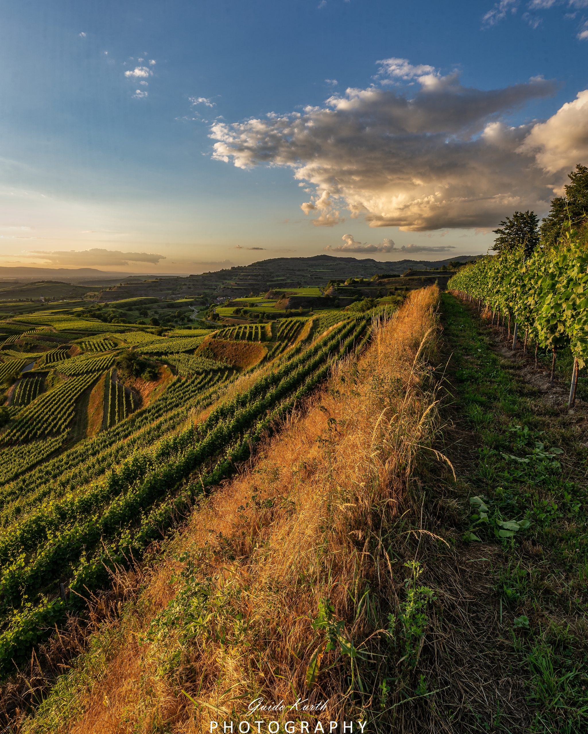 Mehr über den Artikel erfahren Bickensohl