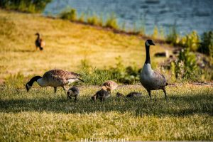 Mehr über den Artikel erfahren We are family….