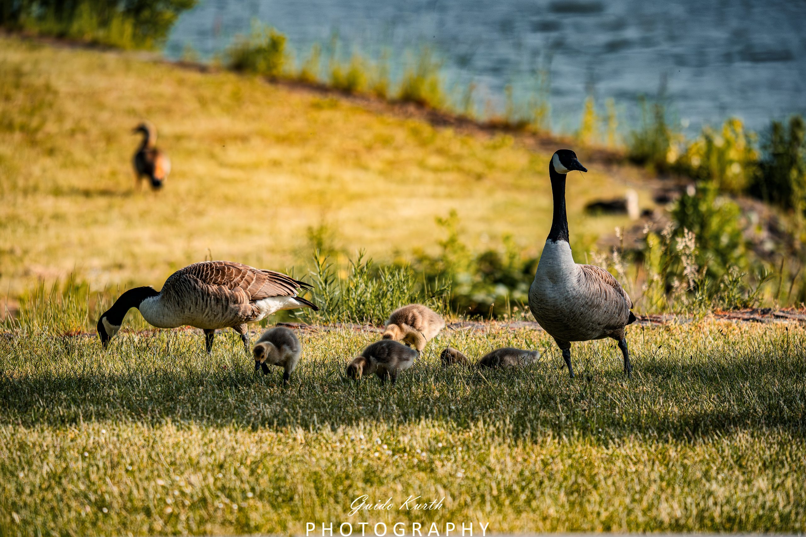 Du betrachtest gerade We are family….