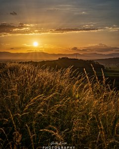 Mehr über den Artikel erfahren Bickensohl