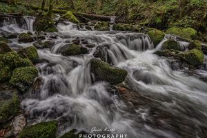 Mehr über den Artikel erfahren Mein grünes Wohnzimmer….
