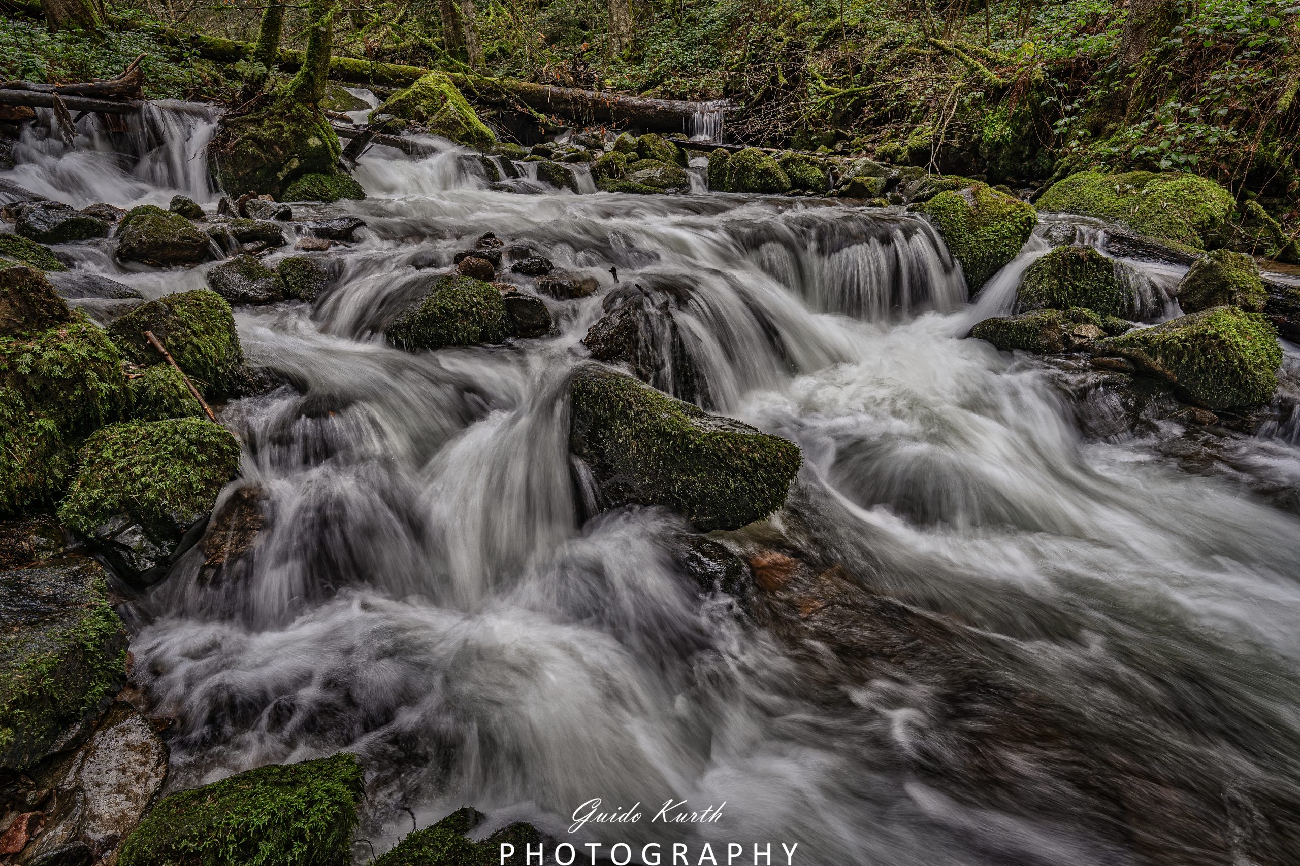 Du betrachtest gerade Mein grünes Wohnzimmer….