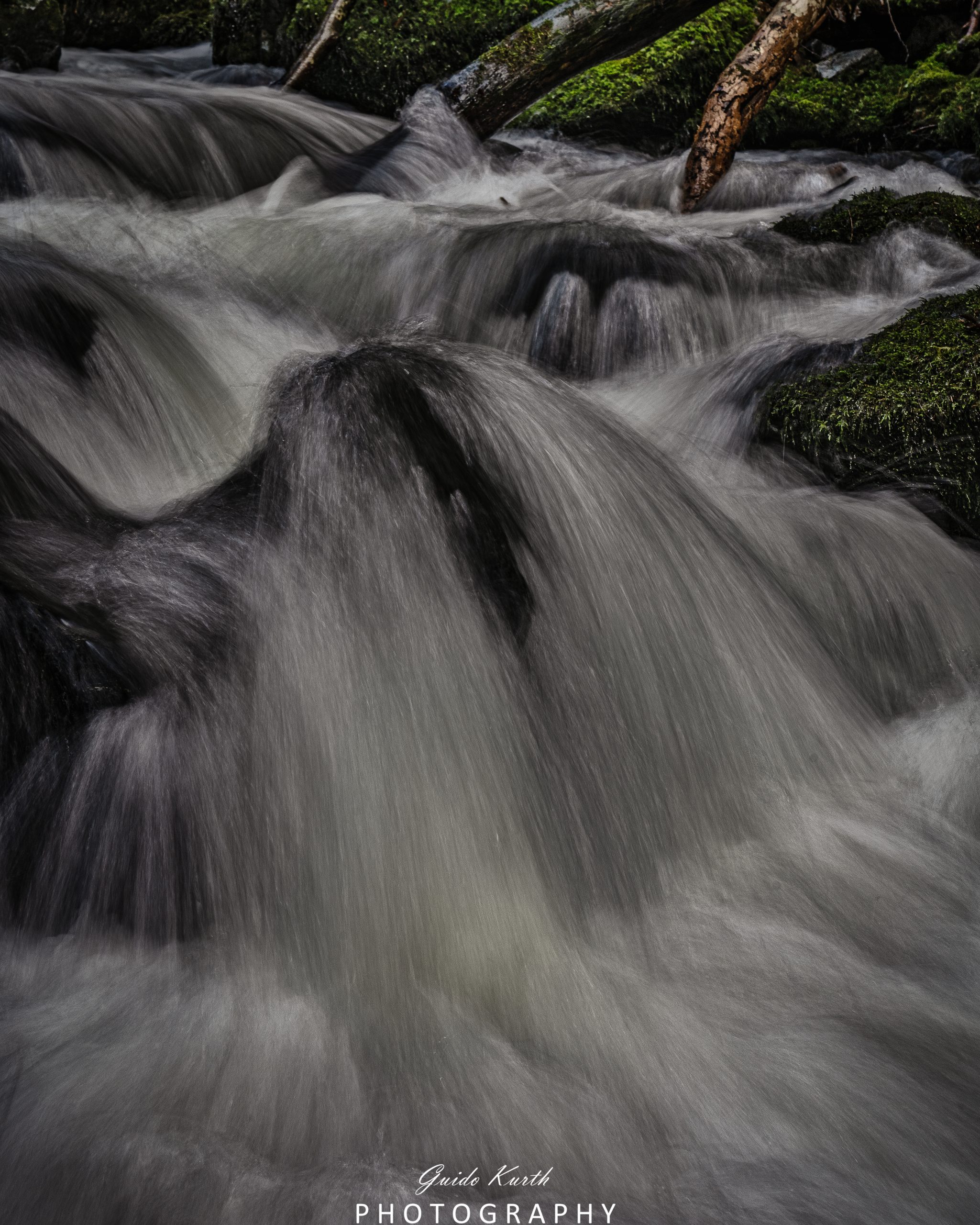 Du betrachtest gerade Mein grünes Wohnzimmer