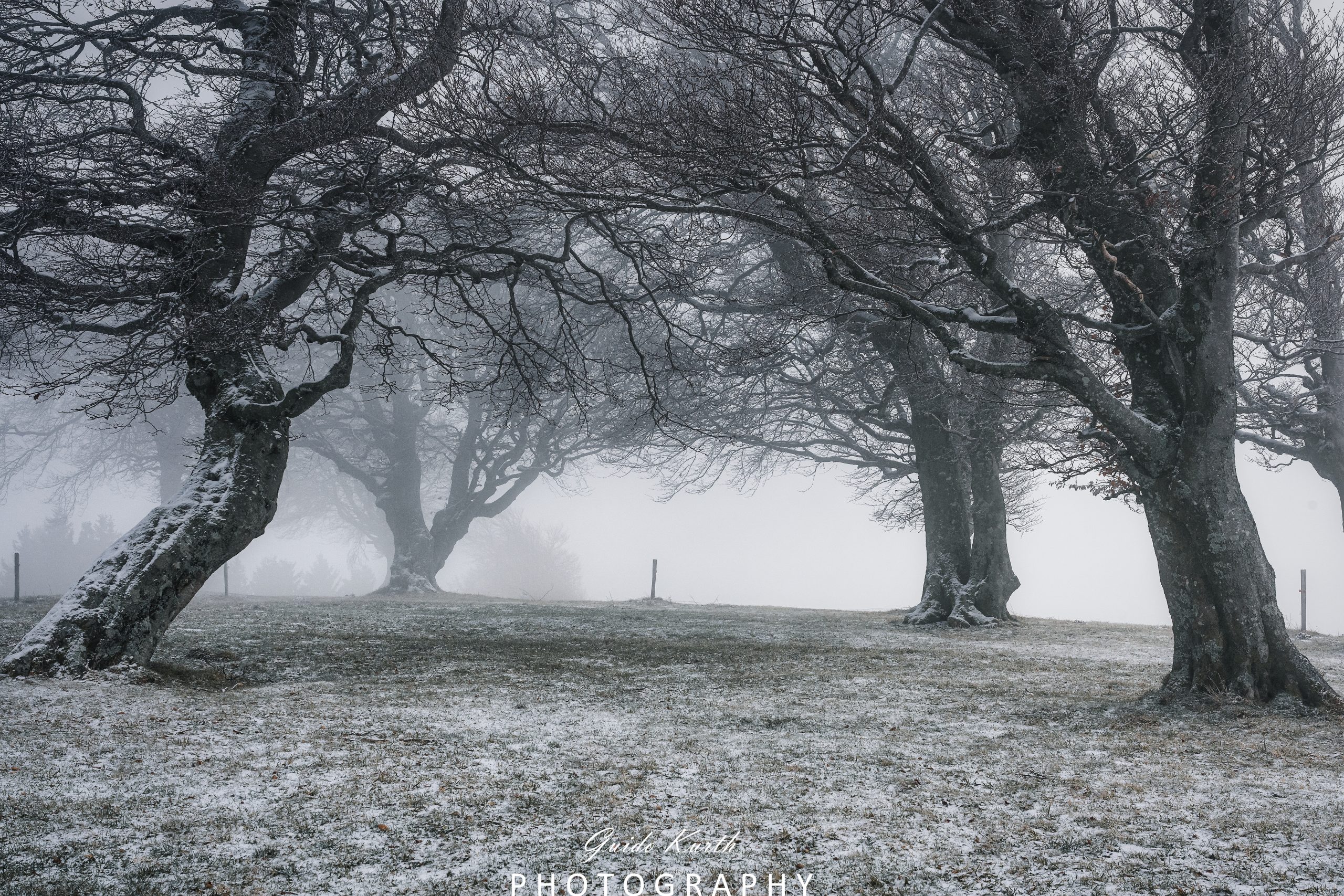 Du betrachtest gerade Nebel bei den Windbuchen…