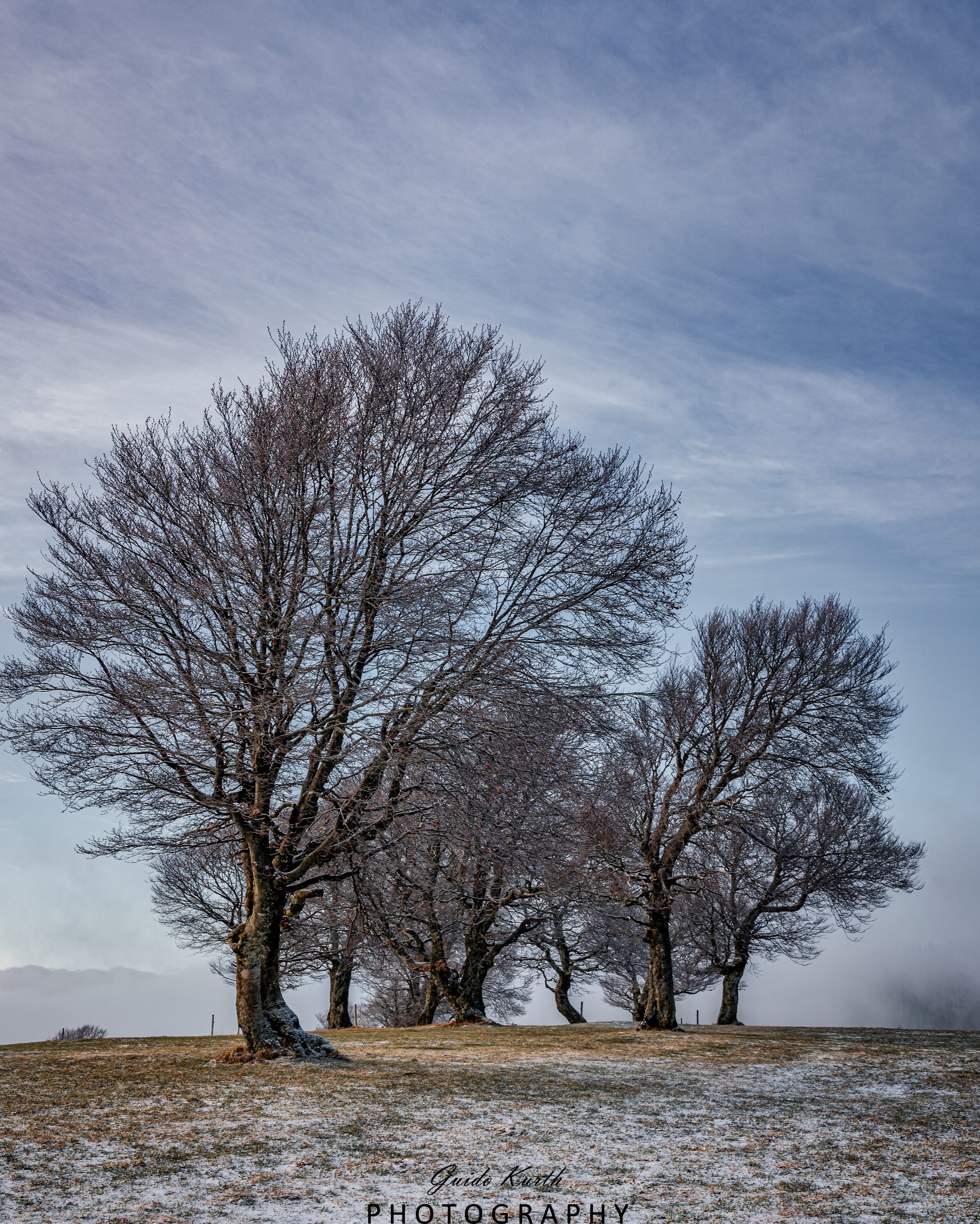 Mehr über den Artikel erfahren Windbuchen…