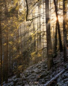 Mehr über den Artikel erfahren Lightshow…