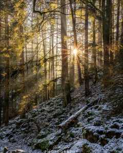 Mehr über den Artikel erfahren Lightshow…