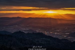 Mehr über den Artikel erfahren Lichtspiele…