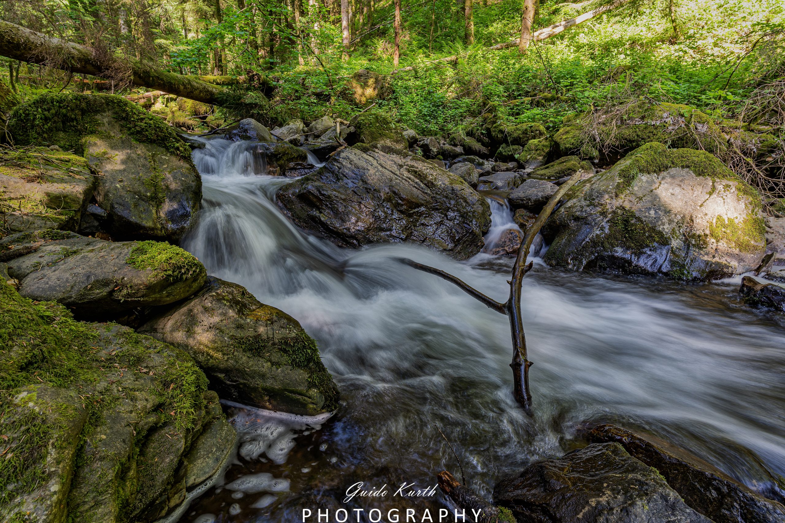 Du betrachtest gerade Mein grünes Wohnzimmer