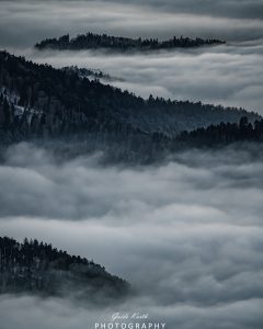 Mehr über den Artikel erfahren Morgennebel…