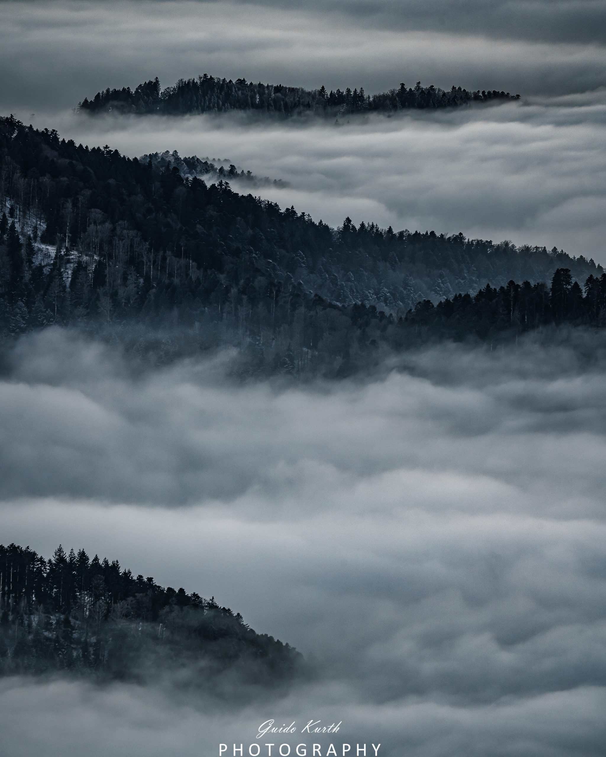 Mehr über den Artikel erfahren Morgennebel…