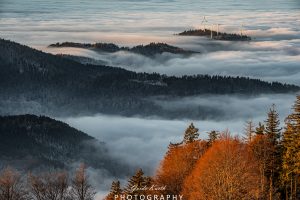 Mehr über den Artikel erfahren Morgennebel…