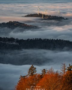 Mehr über den Artikel erfahren Morgennebel…