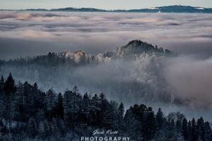 Mehr über den Artikel erfahren Bergwelt Kandel