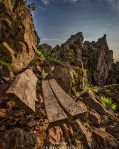 Mehr über den Artikel erfahren Einsame Bank…