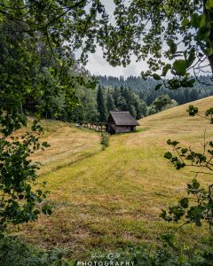 Mehr über den Artikel erfahren Es klappert die Mühle…
