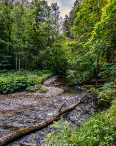 Mehr über den Artikel erfahren Wutachschlucht