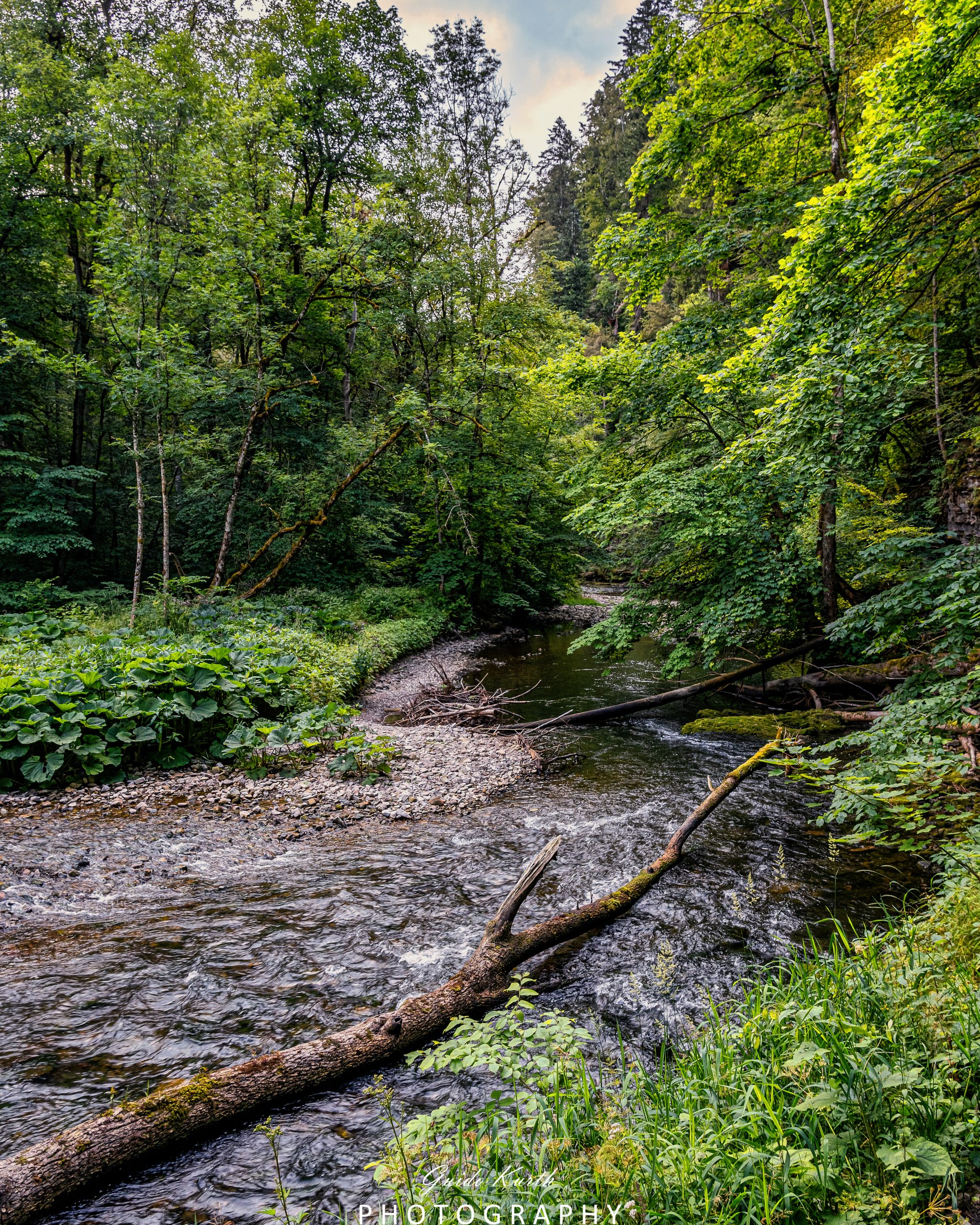 Du betrachtest gerade Wutachschlucht