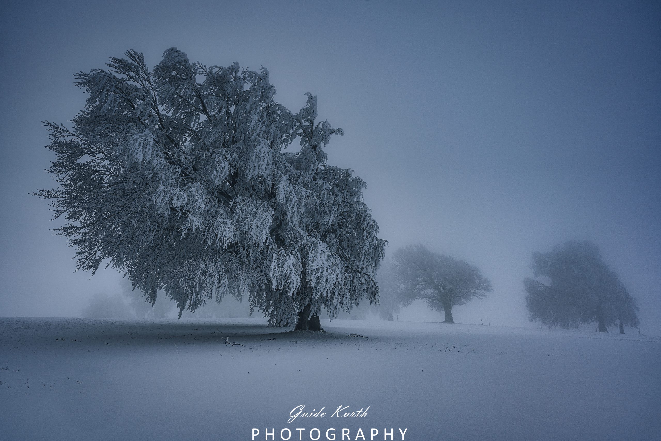 Du betrachtest gerade Mystischer Schwarzwald…