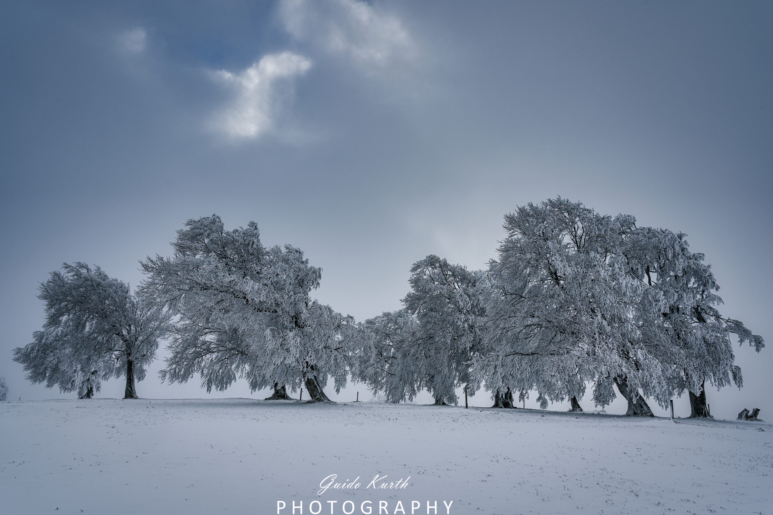 Du betrachtest gerade Mystischer Schwarzwald…