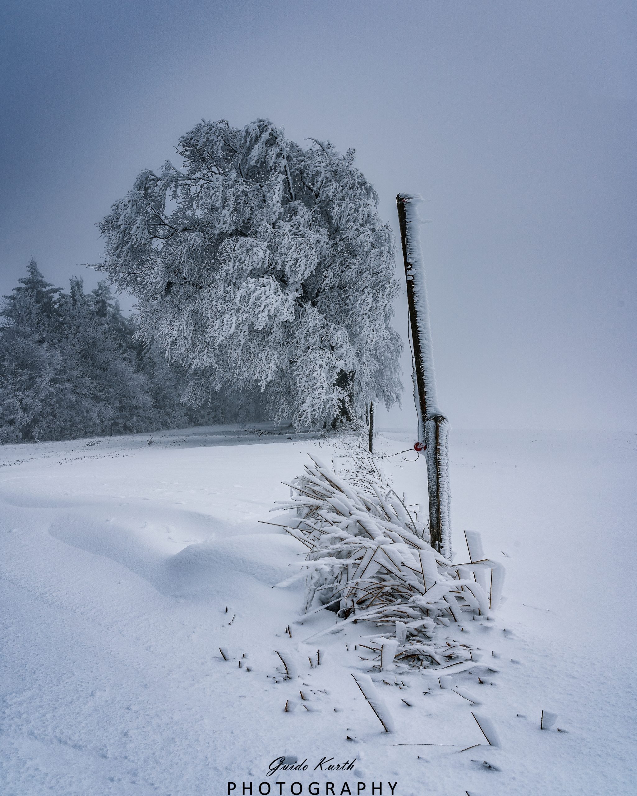 Du betrachtest gerade Mystischer Schwarzwald…