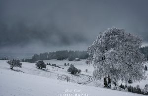 Mehr über den Artikel erfahren Winterliche Aussicht…