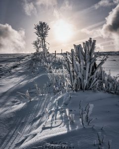 Mehr über den Artikel erfahren Licht und Schnee…